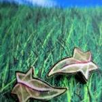 Elven Ivy Leaf Brooch - woo..